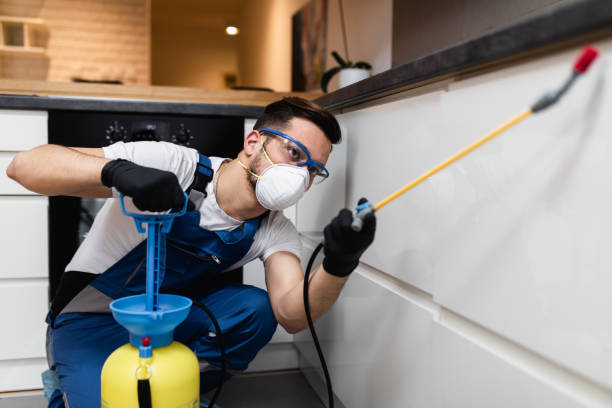 Best Pest Control Near Me  in West Long Branch, NJ