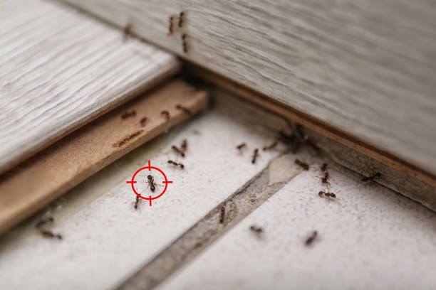 West Long Branch, NJ Pest Control Company