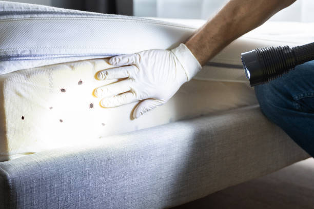 Best Exterminator Services  in West Long Branch, NJ