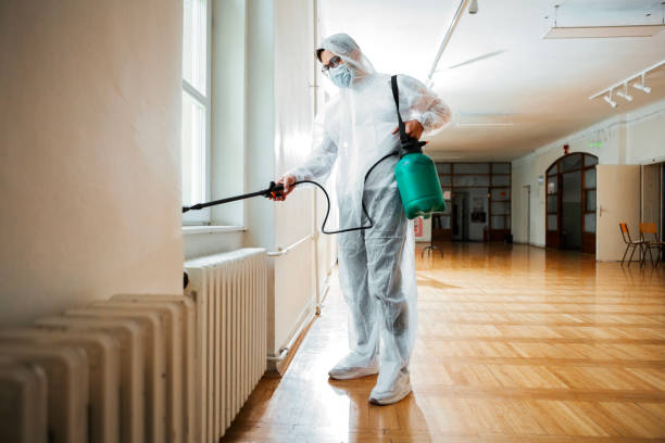 Best Termite Control Services  in West Long Branch, NJ
