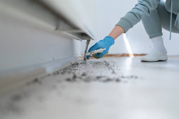 Best Wasp Removal Services  in West Long Branch, NJ